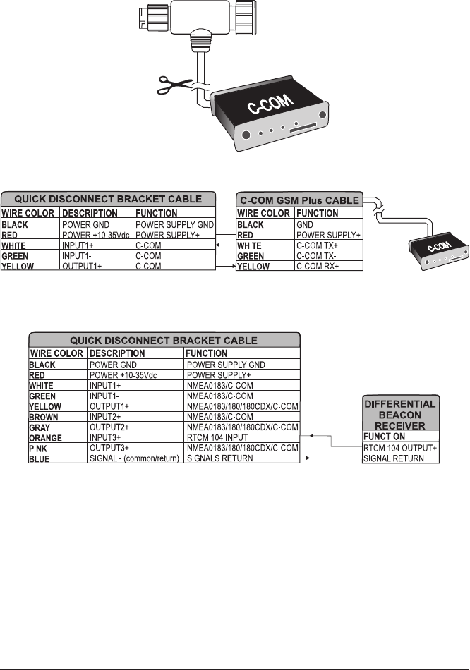 Interphase Chart Master 11 Cvs